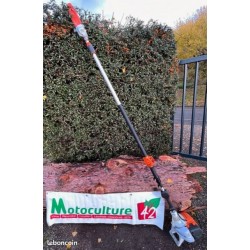 Tronçonneuse sur perche