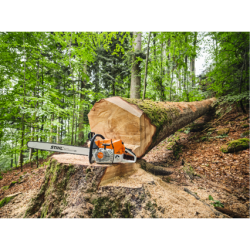 Tronçonneuse...