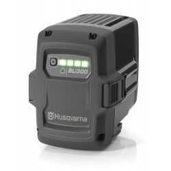 Batterie BLI300